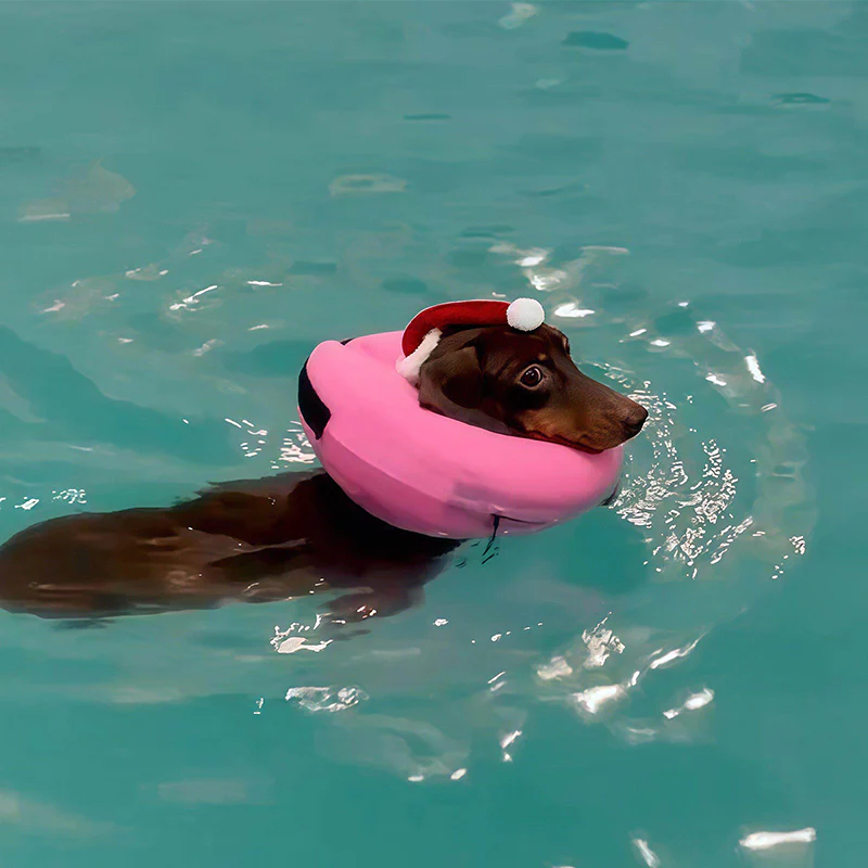 Keep Your Dog Afloat – Inflatable Safety Neck Ring for Swimming
