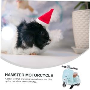 Hamster Motorcycle Toy with Music & Motion