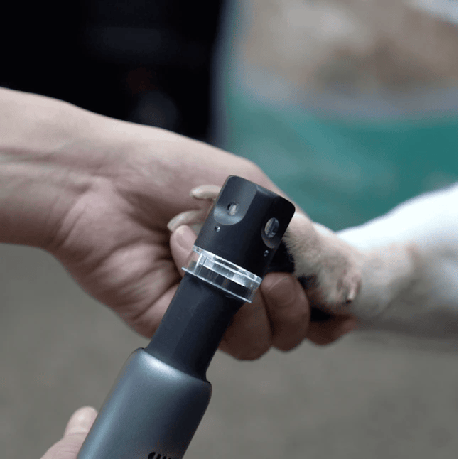 ONE TOOL, 35 WAYS TO MAKE – Carve, Sand, Grind, Cut, Polish, and More