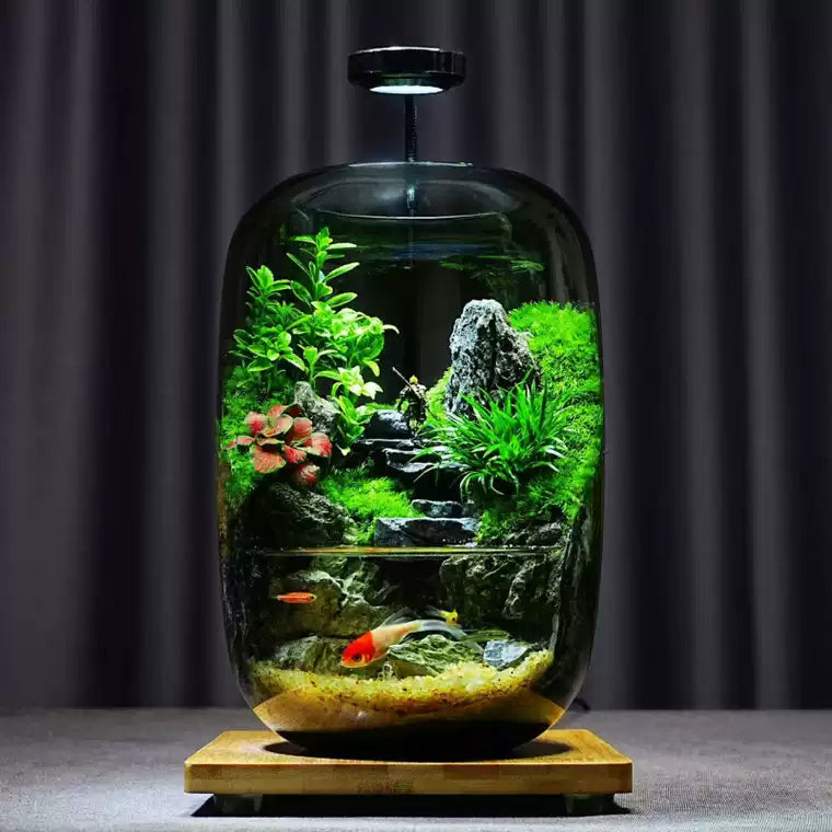 LIVING MOSS TERRARIUM – A Miniature Forest for Your Desk
