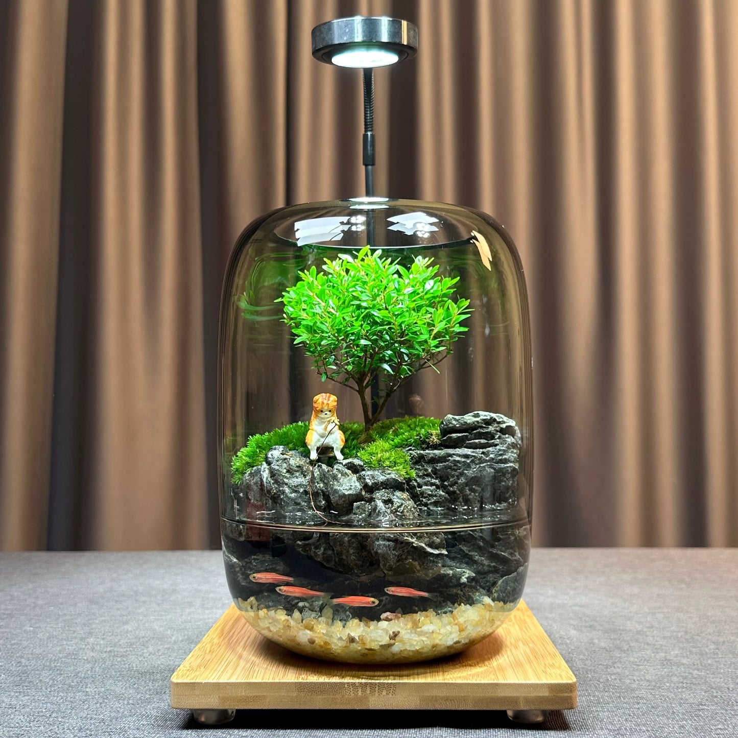 LIVING MOSS TERRARIUM – A Miniature Forest for Your Desk