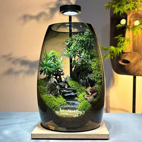 LIVING MOSS TERRARIUM – A Miniature Forest for Your Desk