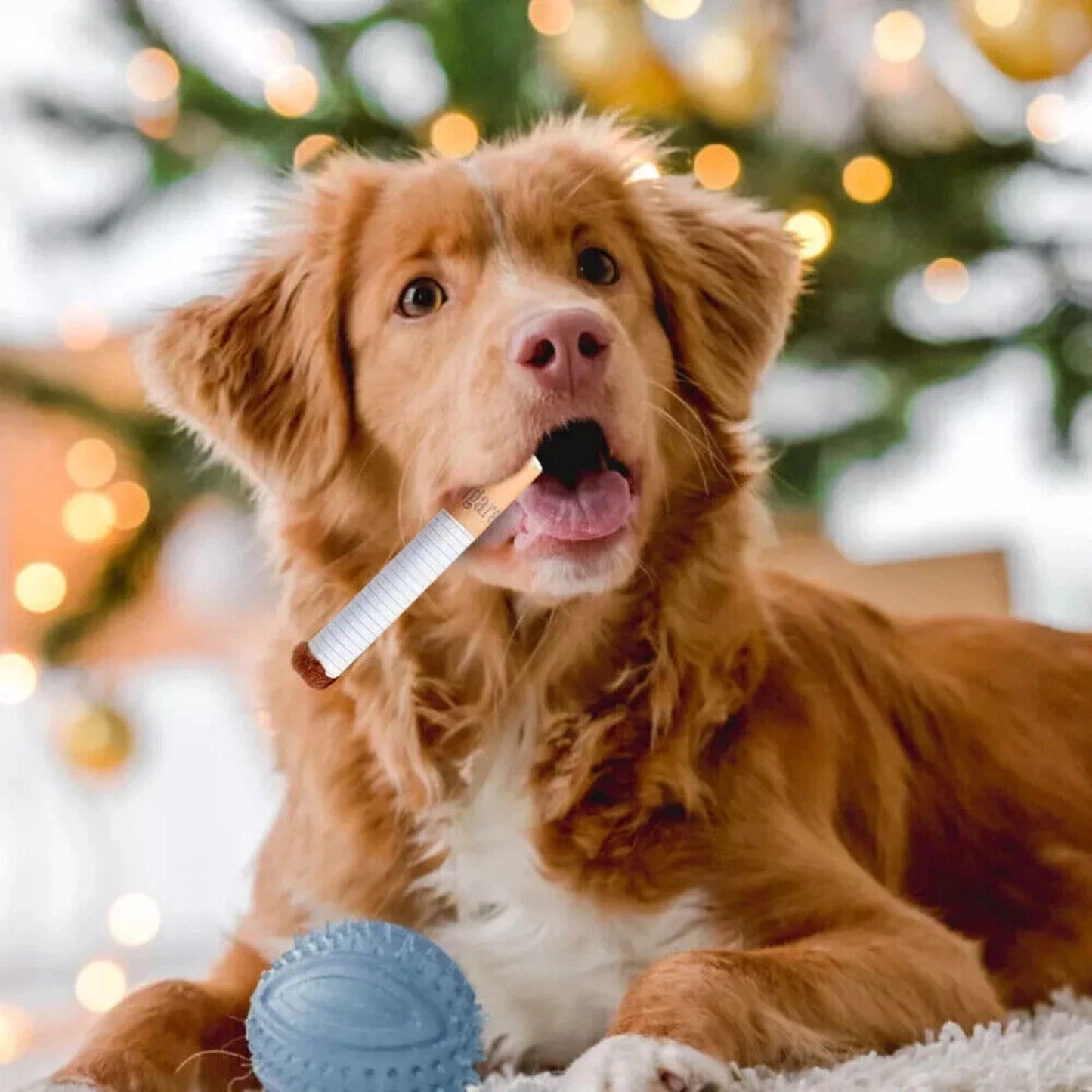 Squeaky Fun That Lasts – Funny Cigar-Shaped Interactive Dog Toy