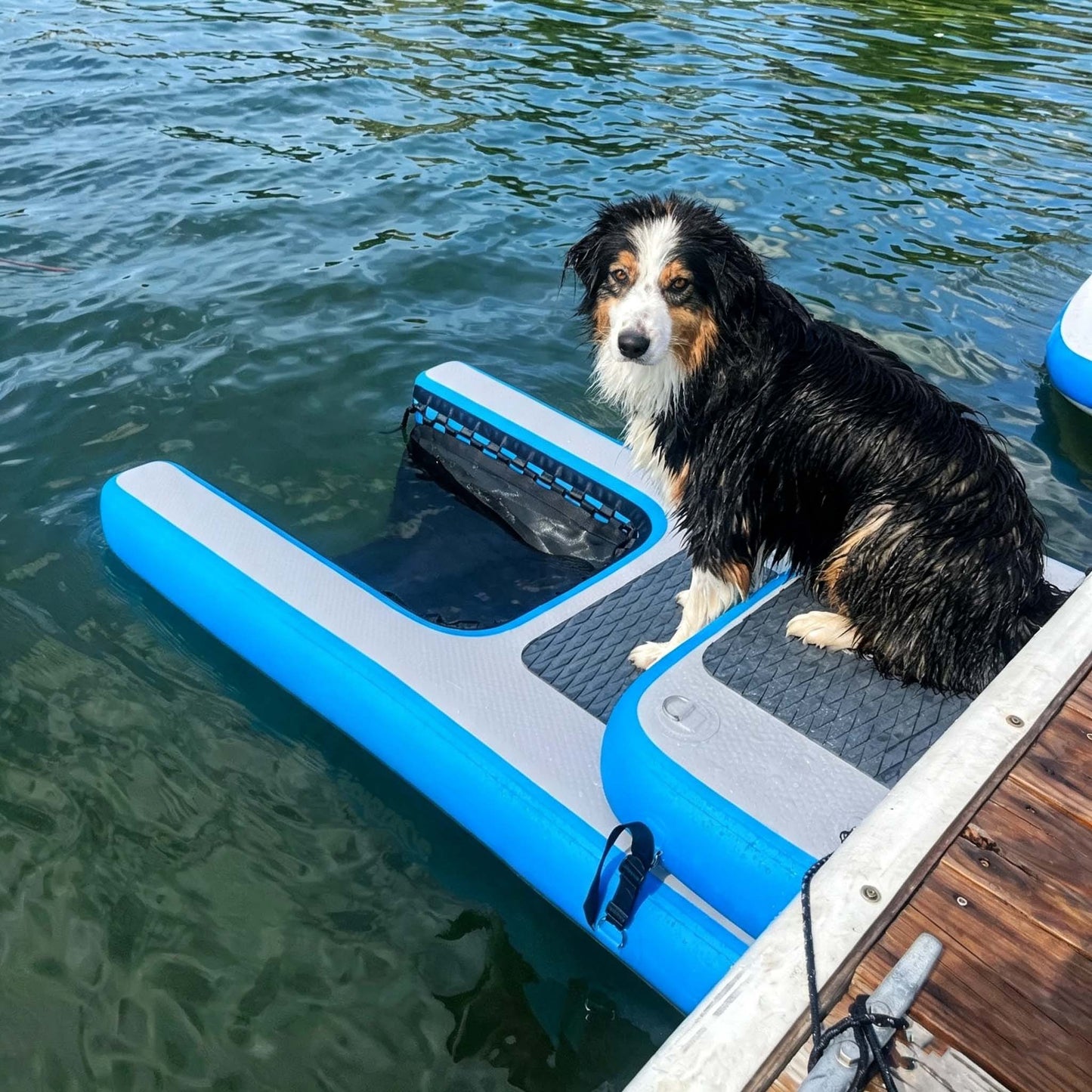 Inflatable Dog Water Access Ramp