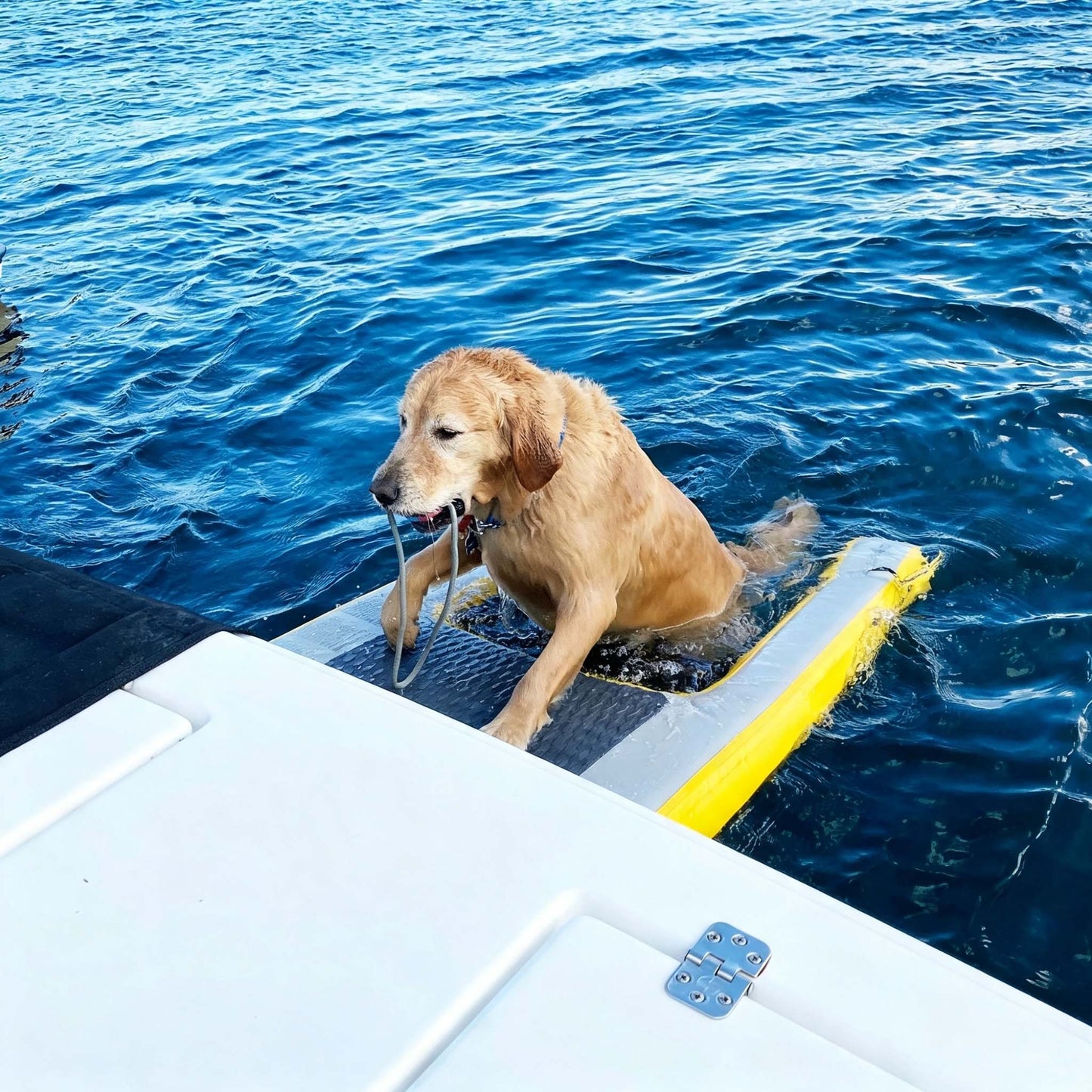 Inflatable Dog Water Access Ramp